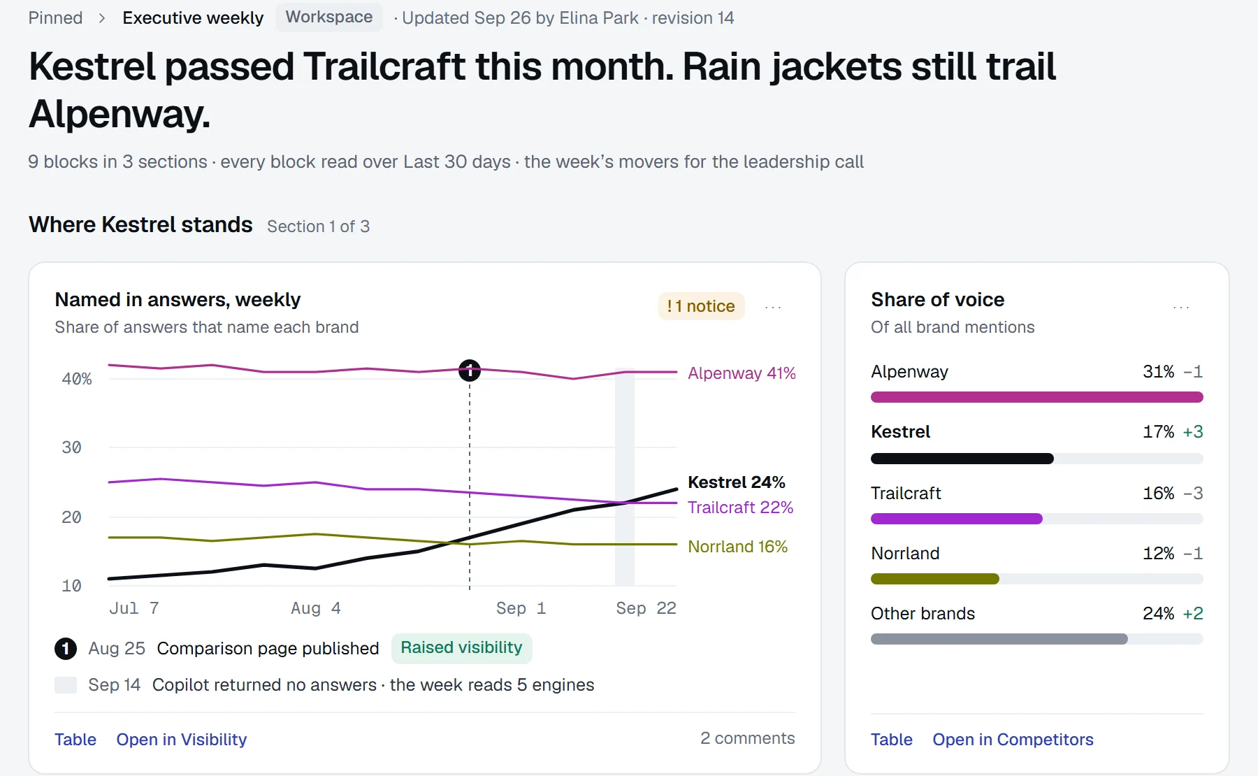 Executive weekly dashboard: Kestrel passed Trailcraft this month and rain jackets still trail Alpenway, with share of answers by week and share of voice
